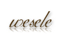 fotografia weselna �lubna